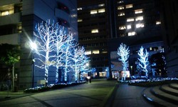 徳島文理大学 文理ナリエ