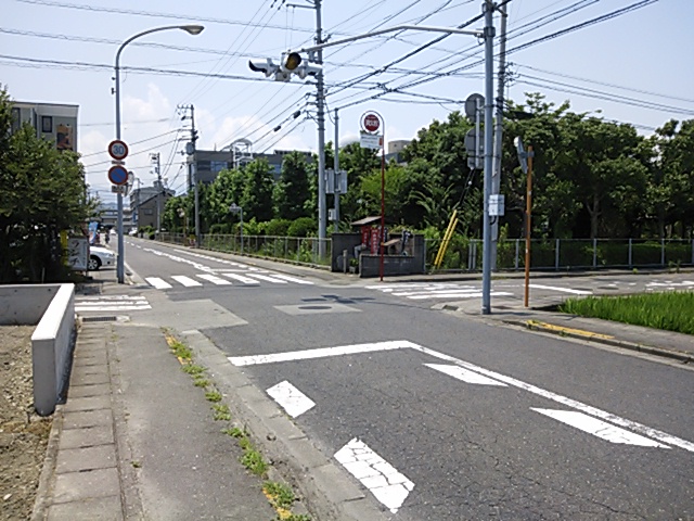 山城公園東側