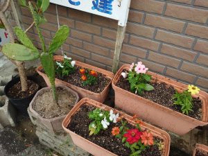 お花