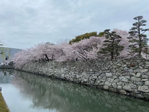 徳島城跡