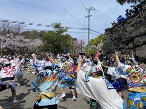 阿波踊り