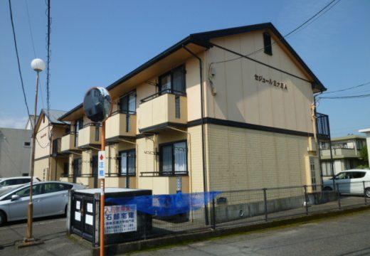 徳島文理大学下宿