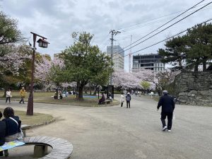 徳島中央公園