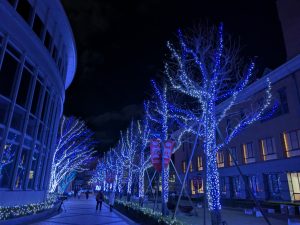 徳島文理大学イルミネーション