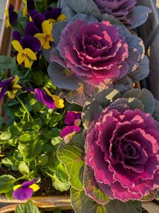 フラワーアレンジメント