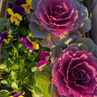 フラワーアレンジメント