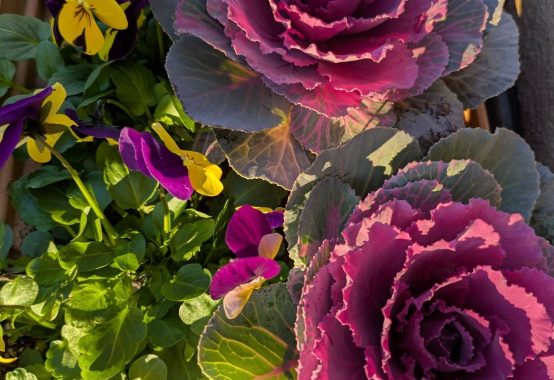 フラワーアレンジメント