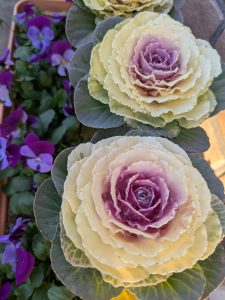 フラワーアレンジメント