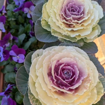 フラワーアレンジメント