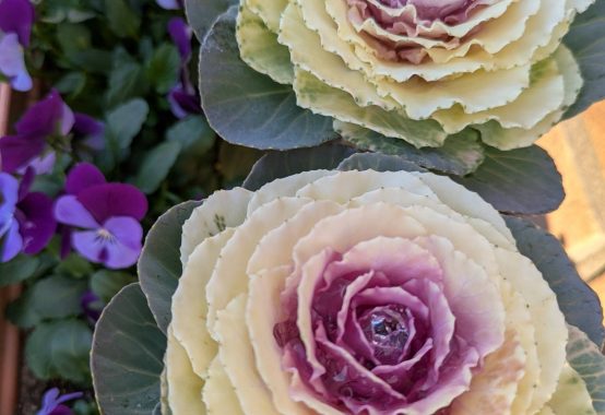 フラワーアレンジメント